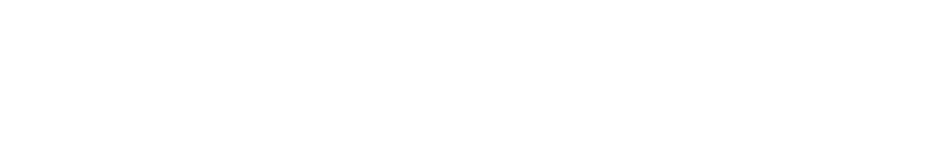 BEE-BLIP